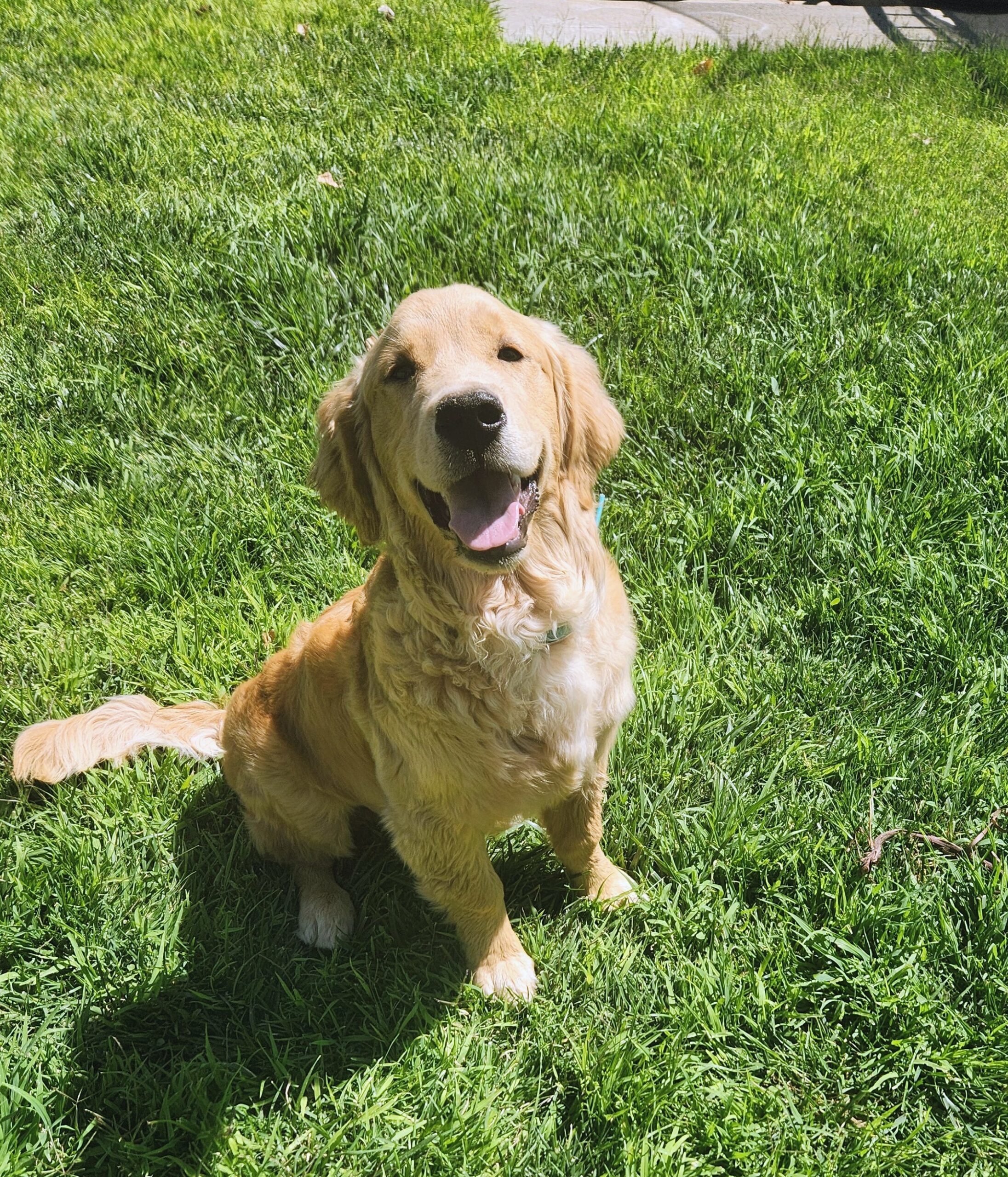 Copper4